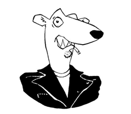 Screeching Weasel | Latest News & Upcoming Concert Dates | Exclaim!