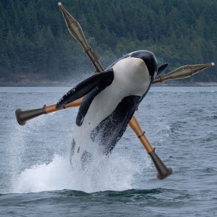 Free willy outlet