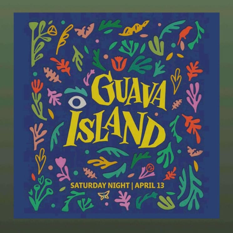 Guava island netflix best sale