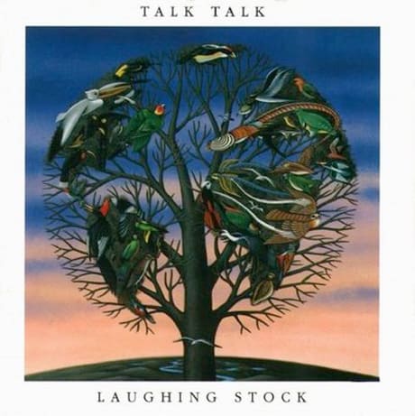 talk?_a=BAVAfVIB0