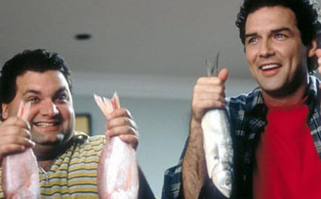 The Norm Show: Complete Series │ Exclaim! 