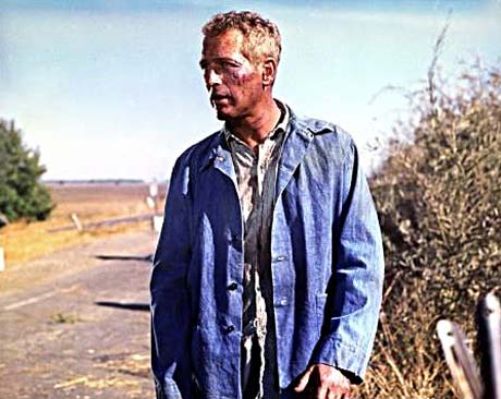 Cool Hand Luke │ Exclaim!