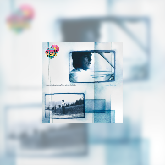 米LP Moldy Peaches Origin Story 1994-1999 ORGM2212 ORG Music /00260 Origin Story: 1994-1999 | The Moldy Peaches | Org Music
