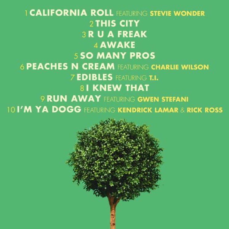 Snoop Dogg Taps Kendrick Lamar, Rick Ross for 'BUSH' | Exclaim!