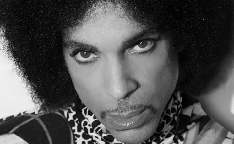 Prince's NPG Catalogue and Vaults of Unreleased Music Acquired by ...