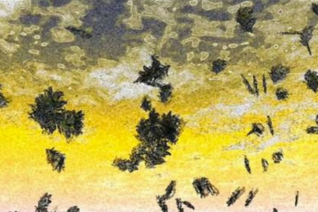 Kronos Quartet Bryce Dessner â Exclaim