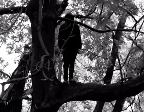 Hanging rock christmas trees woodend