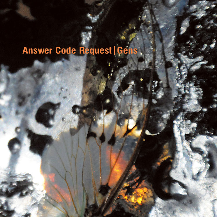 Answer Code Request │ Exclaim!