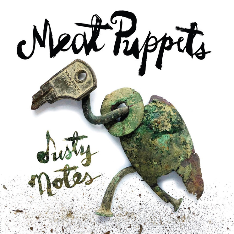 Sublime and Meat Puppets Members Unearth Lost Album as Volcano