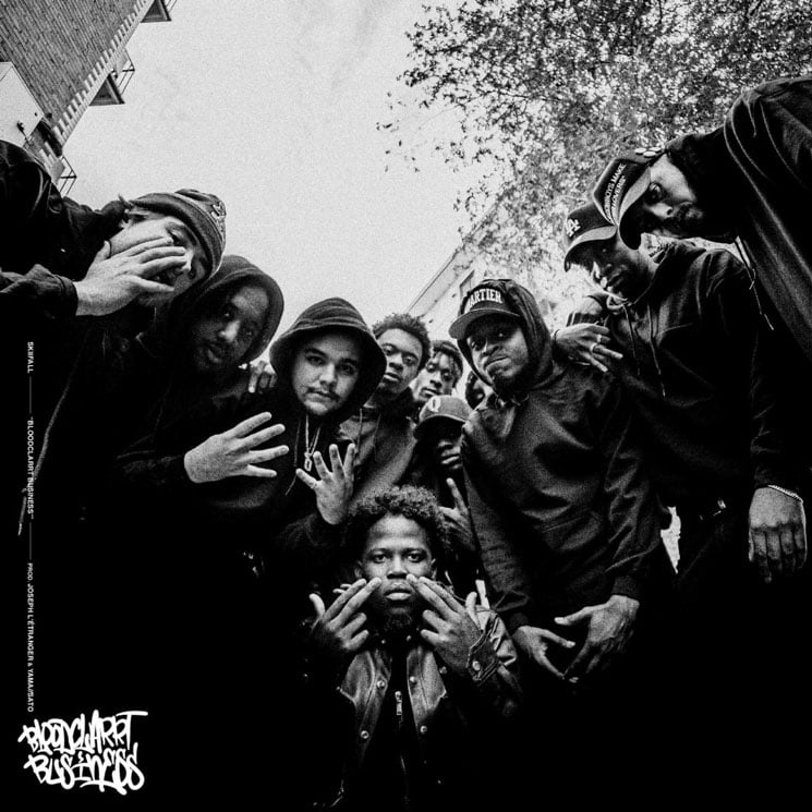 Skiifall Minds His 