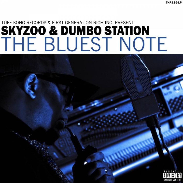 SKYZOO - BLUEST NOTE LP 180G レコード SKYZOO - BLUEST NOTE LP 180G レコード 【公式通販】