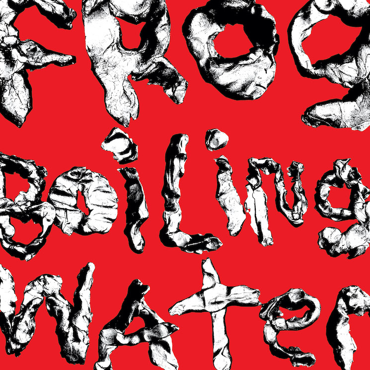 DIIV Have the Instinct to Survive on 'Frog in Boiling Water' - Vimarsana News