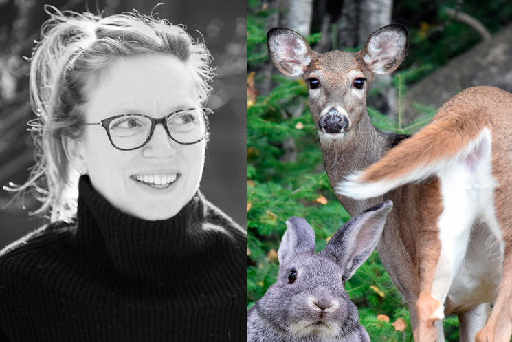 Sarah Polley No Longer Directing Disney S Live Action Bambi Remake │ Exclaim