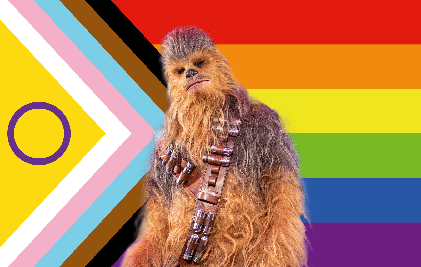 Is Chewbacca Gay? Doja Cat Thinks He 