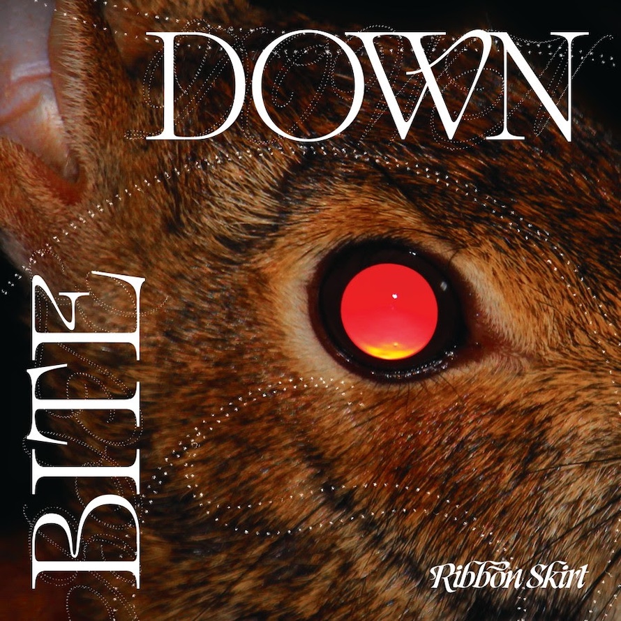 bite down ribbon skirt.jpg