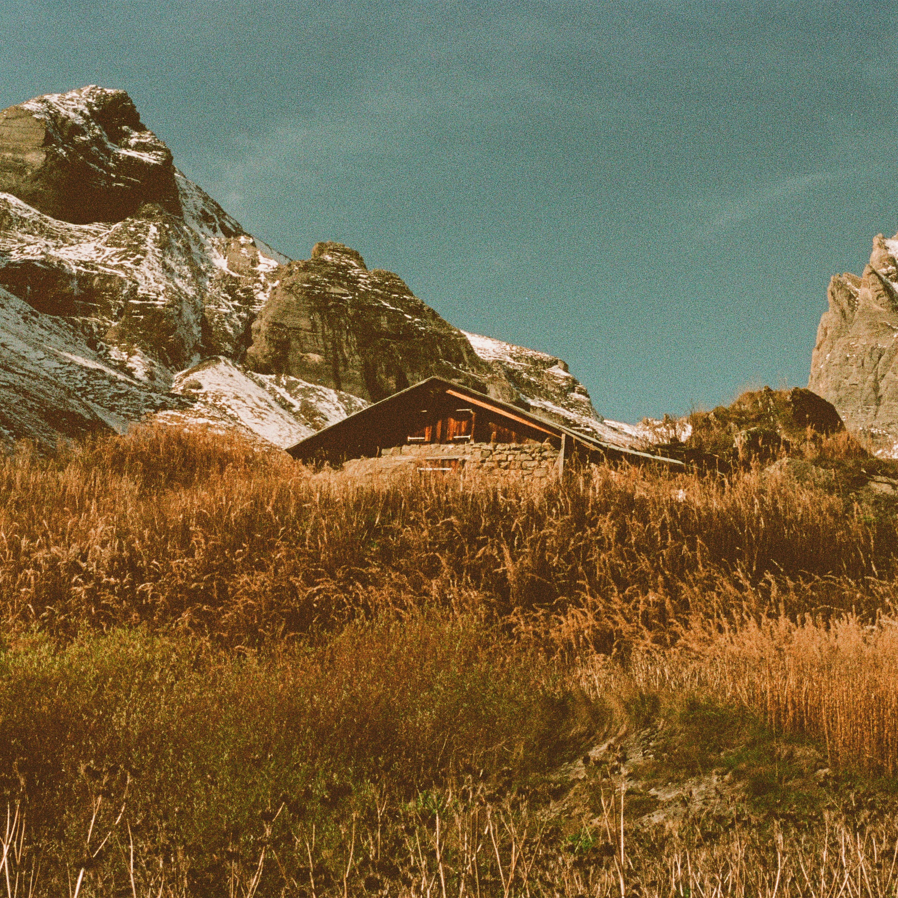 Yoo Doo Right Return with 'Build and Rest by the Shepherd's Light,' Map Out Canadian Tour Dates